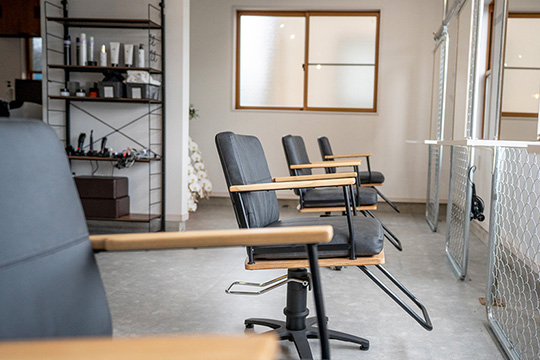 salon photo