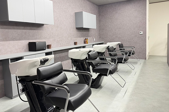 salon photo